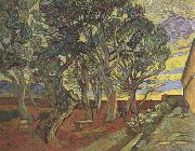 Vincent Van Gogh, The Garden of Saint-Paul Hospital (nn04)